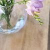 Freesia-lilla