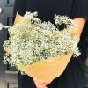 Baby's Breath