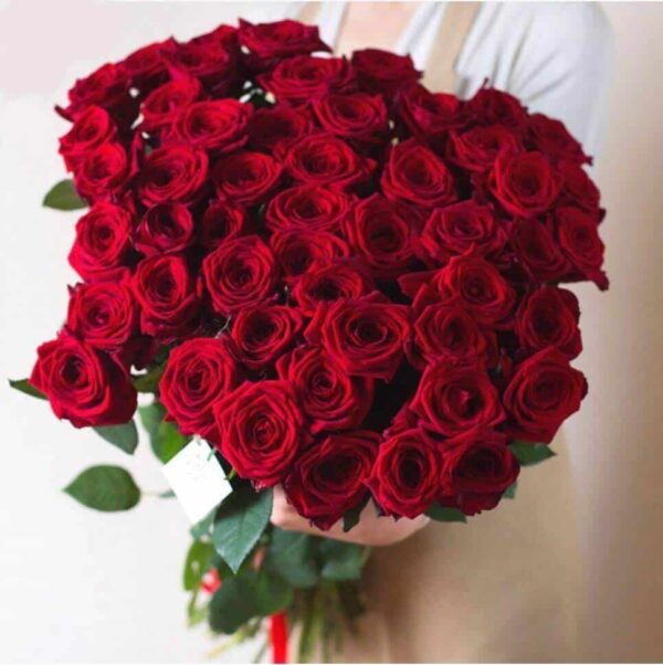 50 punast roosi