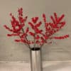 winterberry