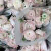 Ranunculus