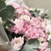 Ranulculus
