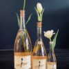 Rabarbra: Rhubarb Sparkling Wine