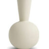 COOET TRUMPET VASE SHELL